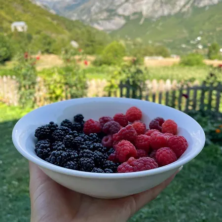 Prebibaj Farm stay