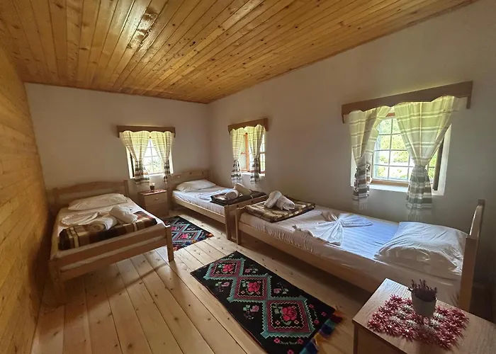 Prebibaj Curraj i Eperm